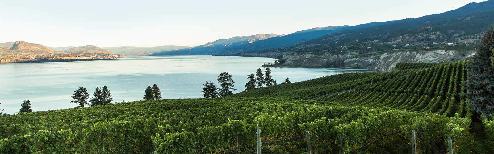 Okanagan Valley Wine Region of British Columbia Wine BC