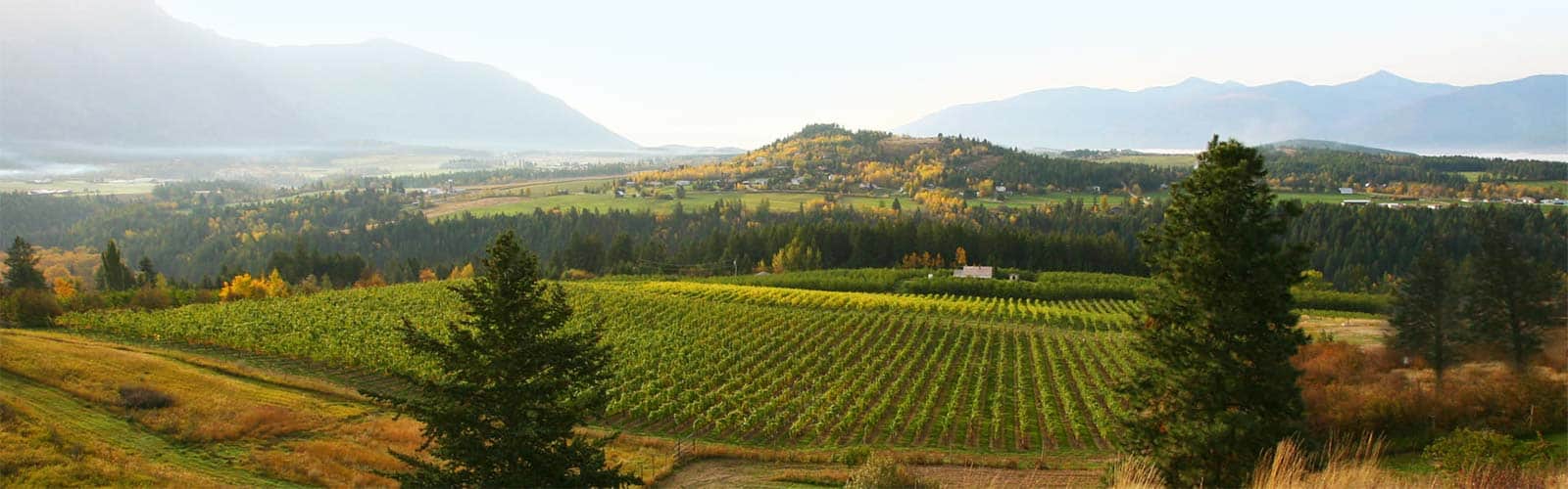 Kootenays Wine Region of British Columbia Wine BC