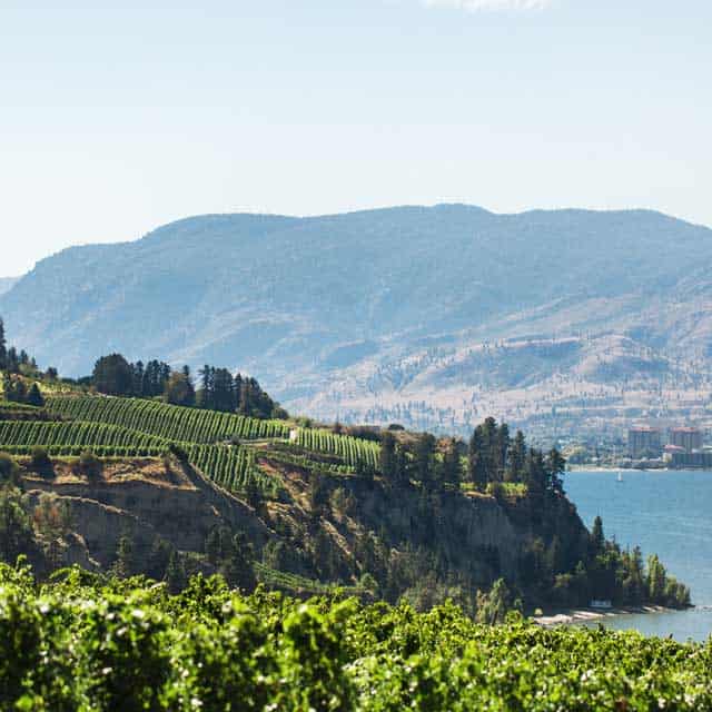 Okanagan Valley Wine Region of British Columbia Wine BC