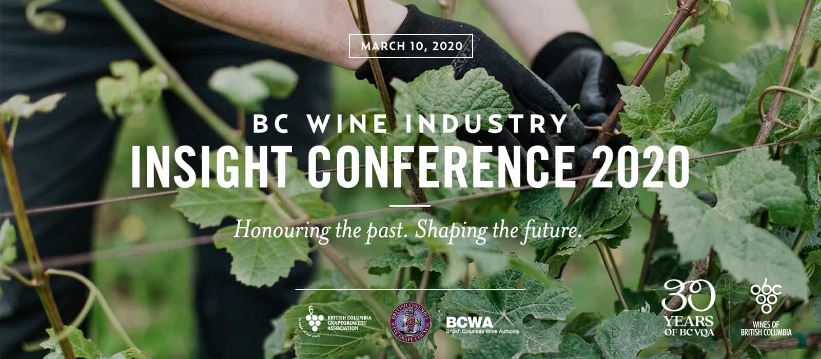 British Columbia Wine Industry BC Wine Institute Wine BC