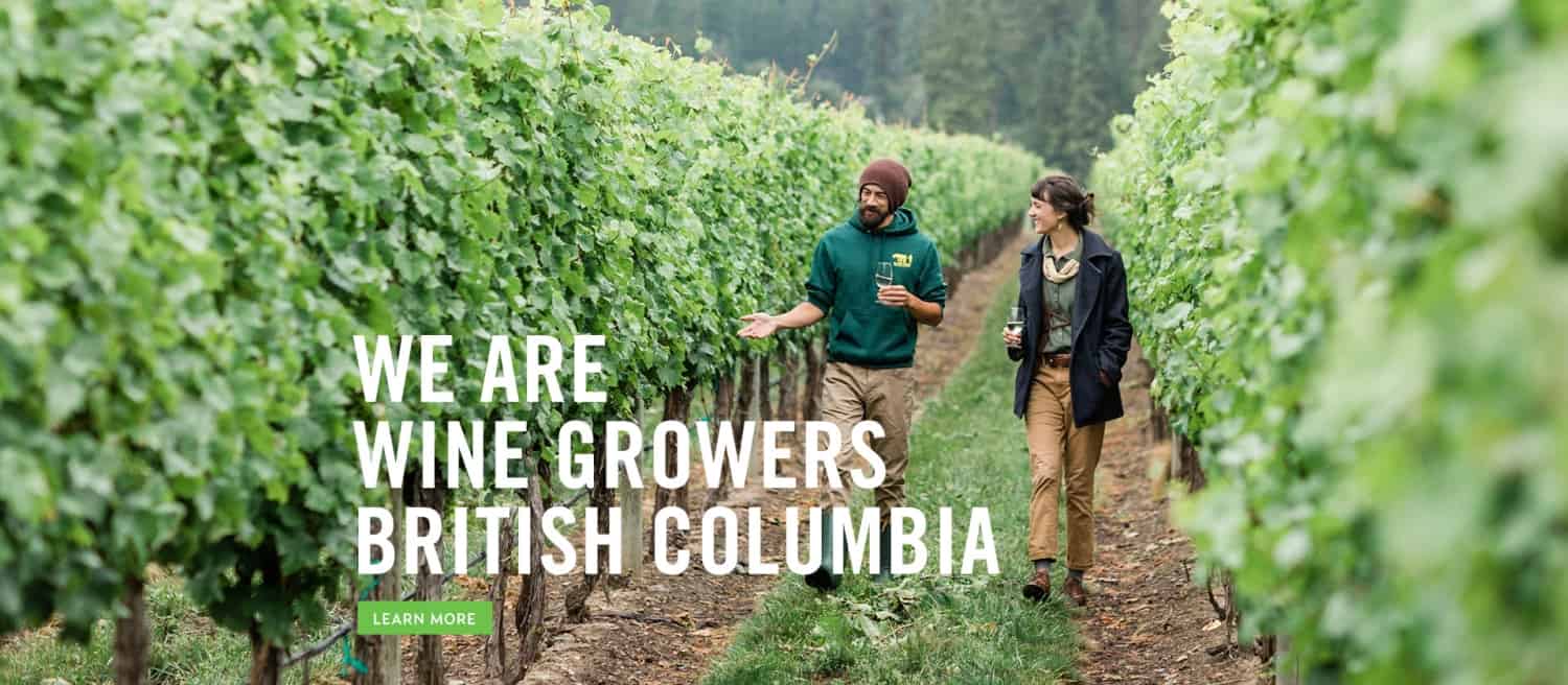 British Columbia Wine Industry Wine Growers BC Wine BC