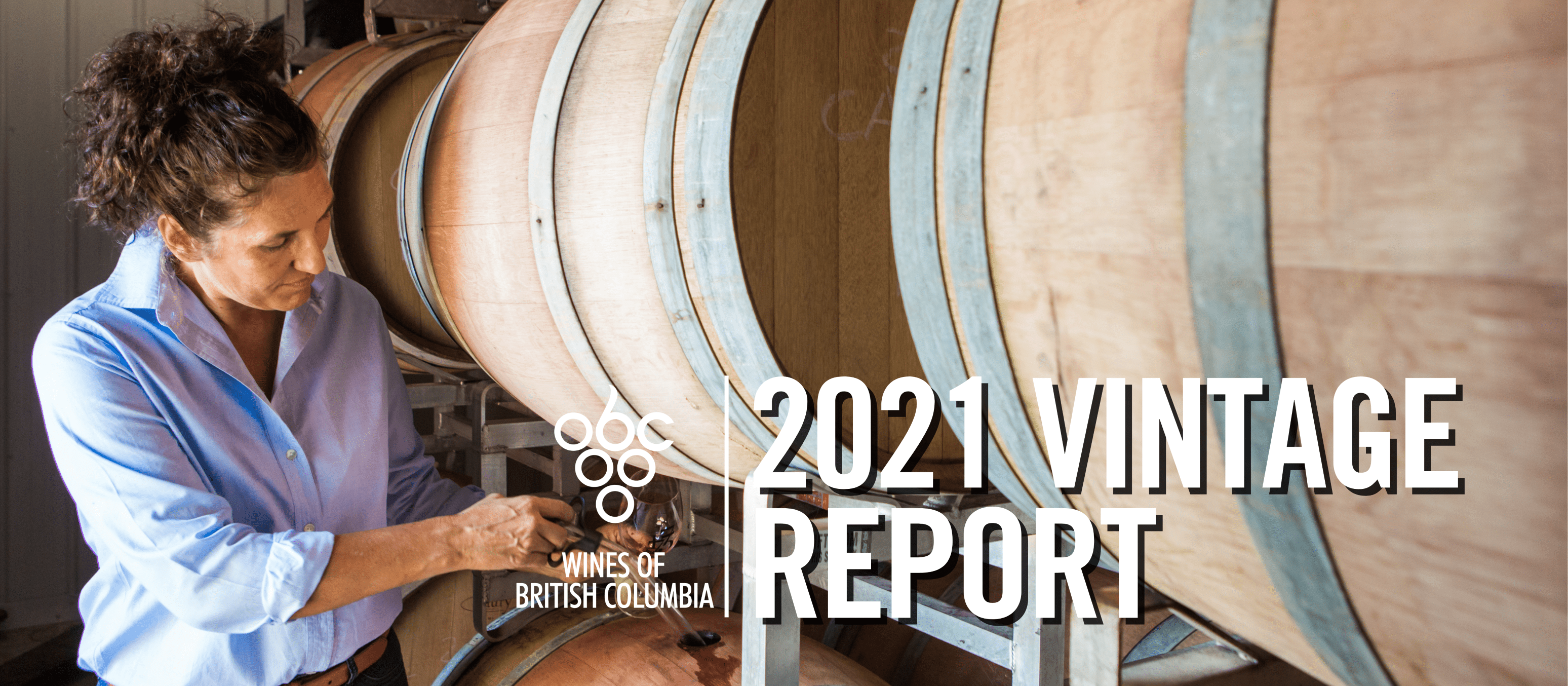 british-columbia-wine-industry-wine-growers-bc-wine-bc