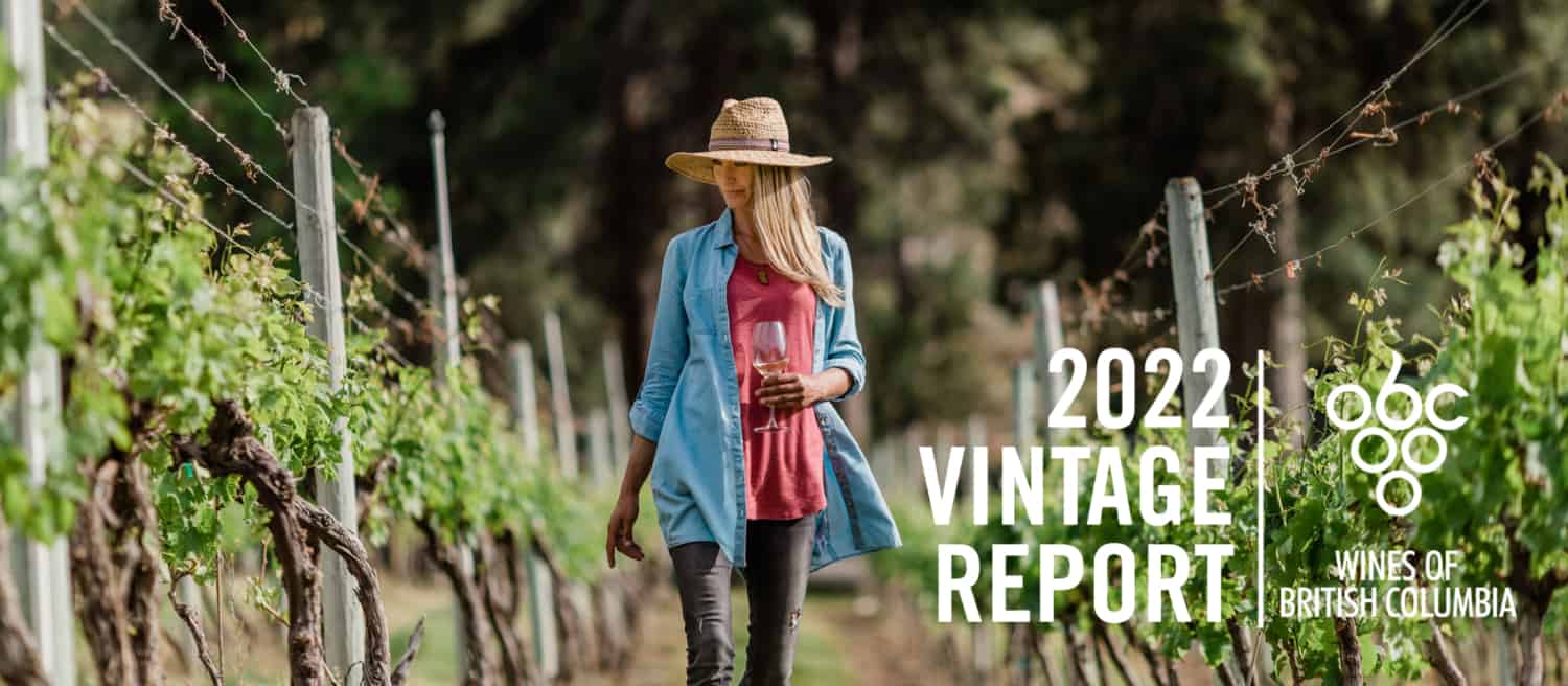 British Columbia Wine Industry Wine Growers BC Wine BC