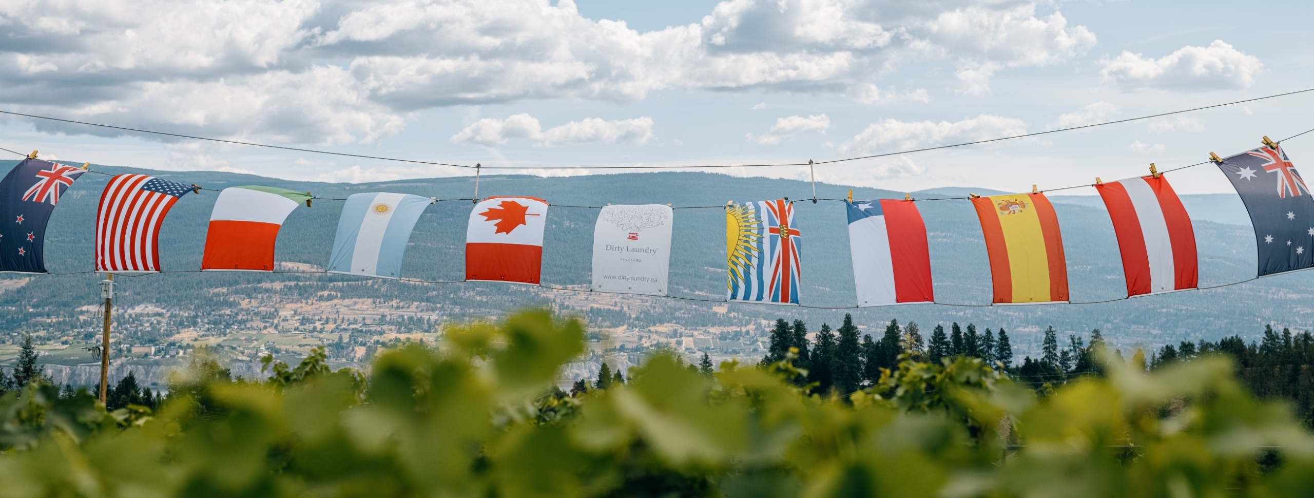 Dirty Laundry Flags