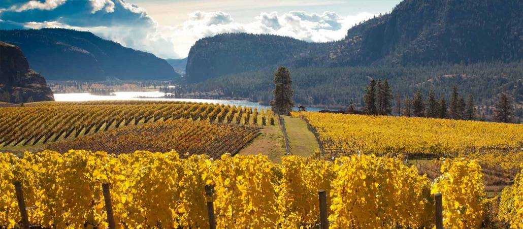 Okanagan Valley Wine Region of British Columbia | Wine BC