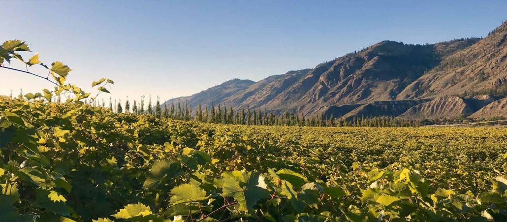 Thompson Valley Wine Region of British Columbia | Wine BC