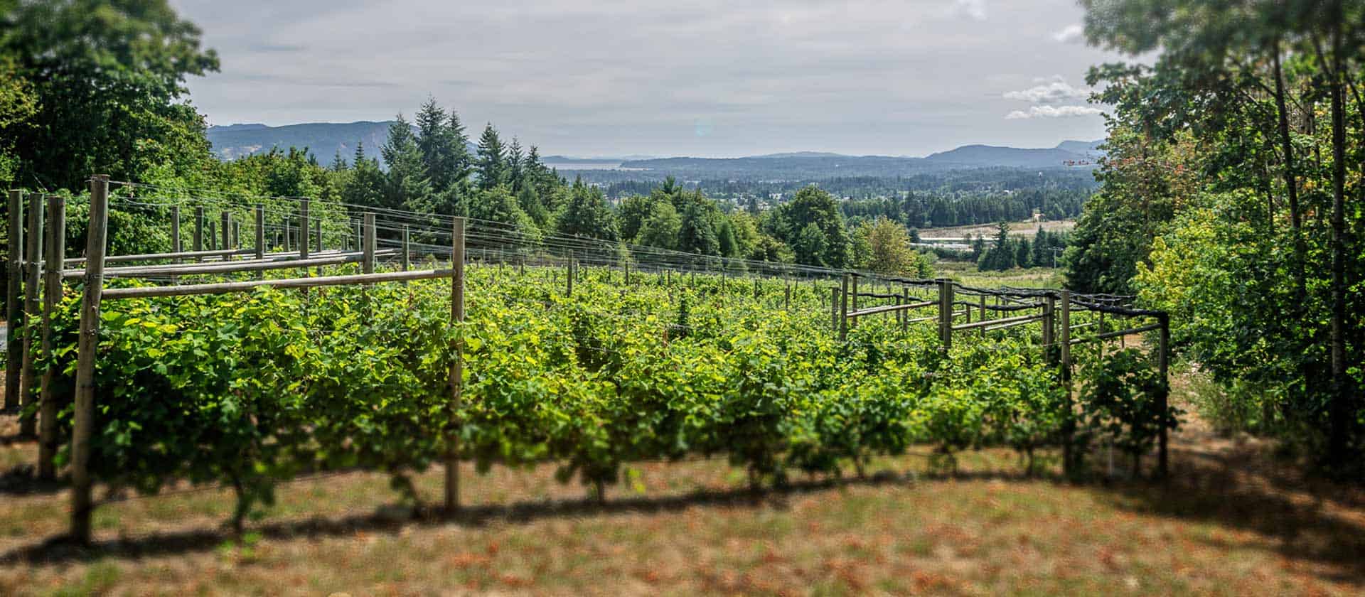 winery tours vancouver island bc