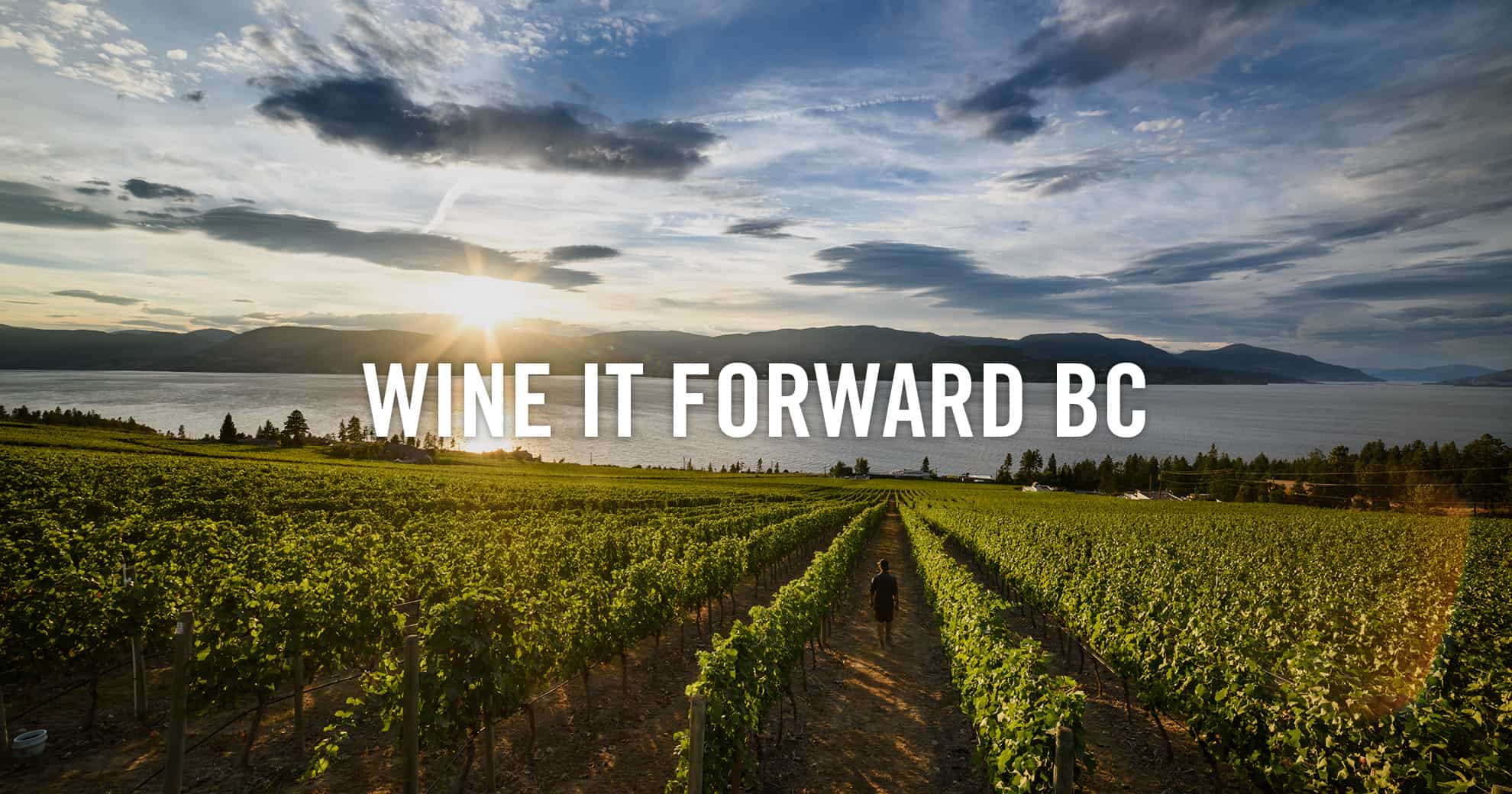 BC Wine Country British Columbia Wineries & AwardWinning Wines