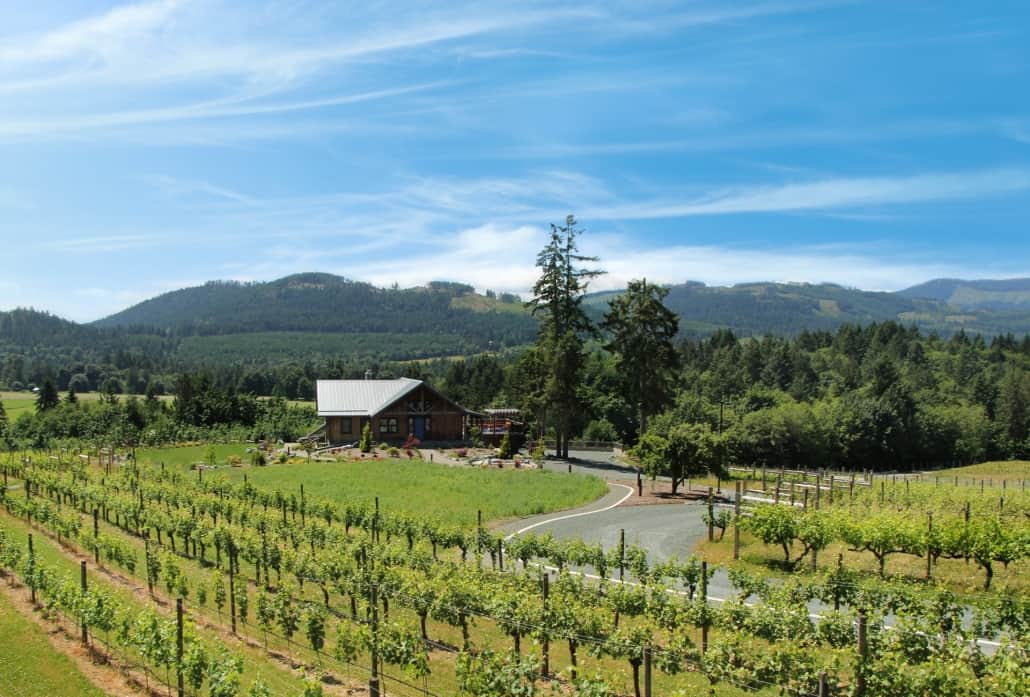 Cowichan Valley Sub-Appellation Wine Region of British Columbia | Wine BC