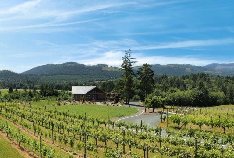 Cowichan Valley Sub-appellation Wine Region Of British Columbia 