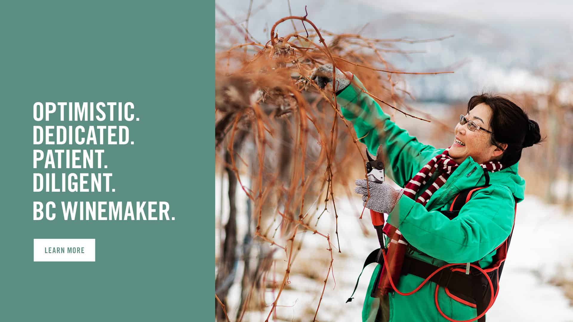 BC Wine Country British Columbia Wineries & AwardWinning Wines