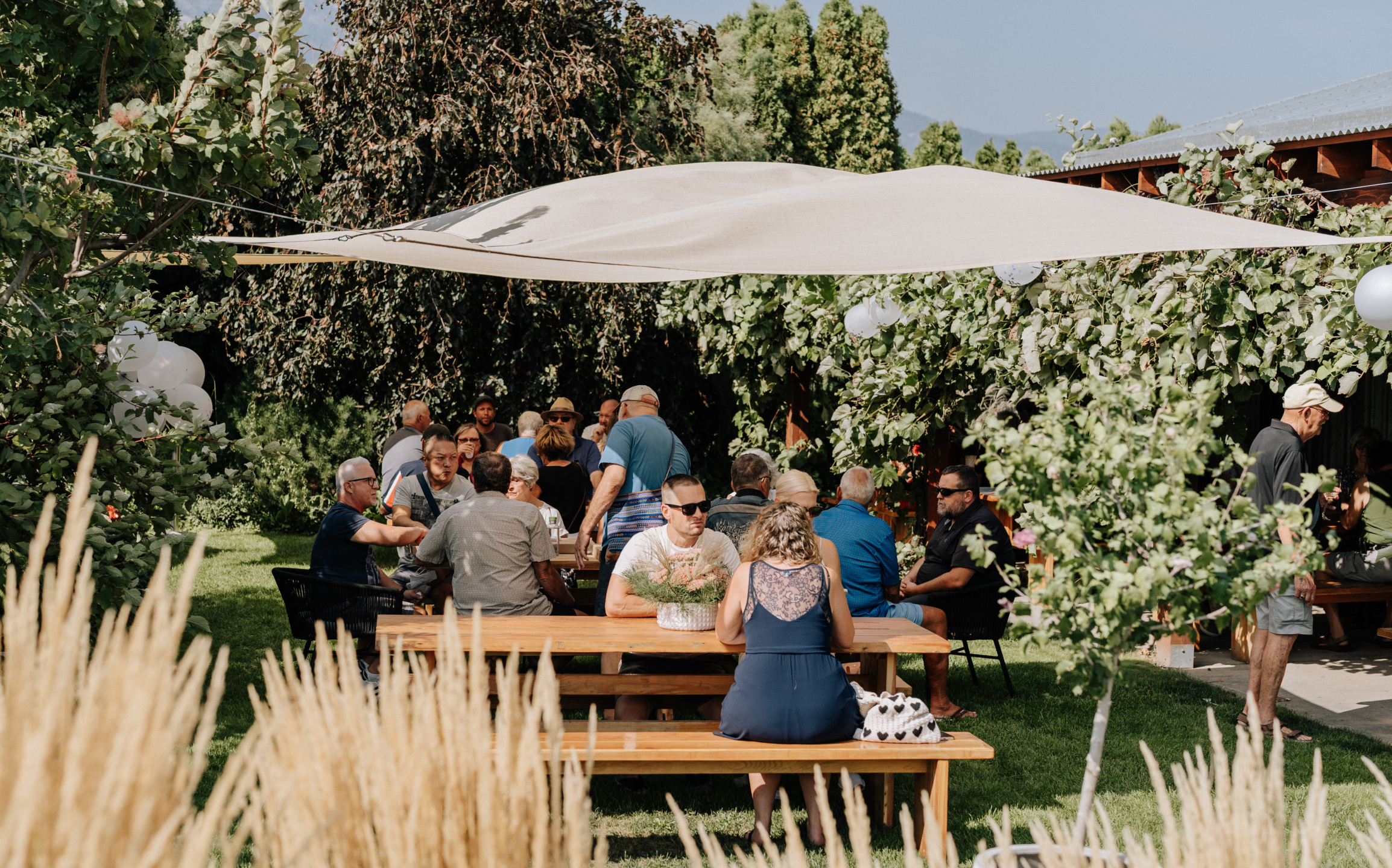 Stoneboat Vineyards & Pinot House