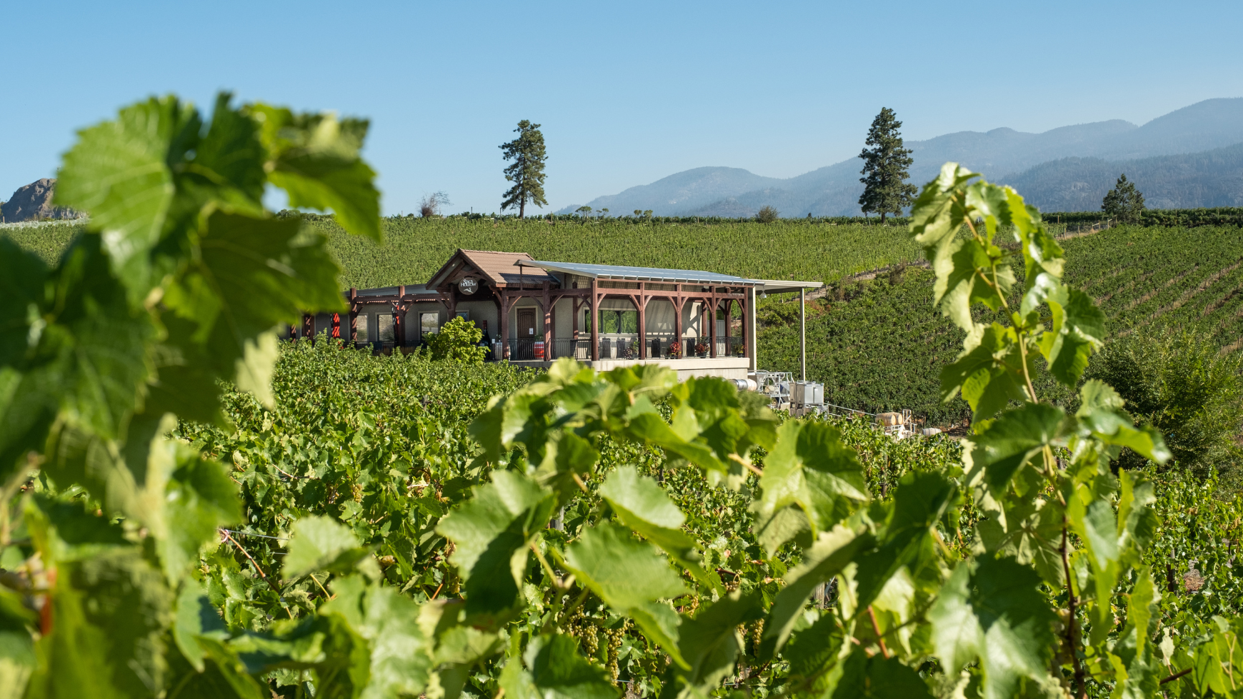 Stag’s Hollow Winery