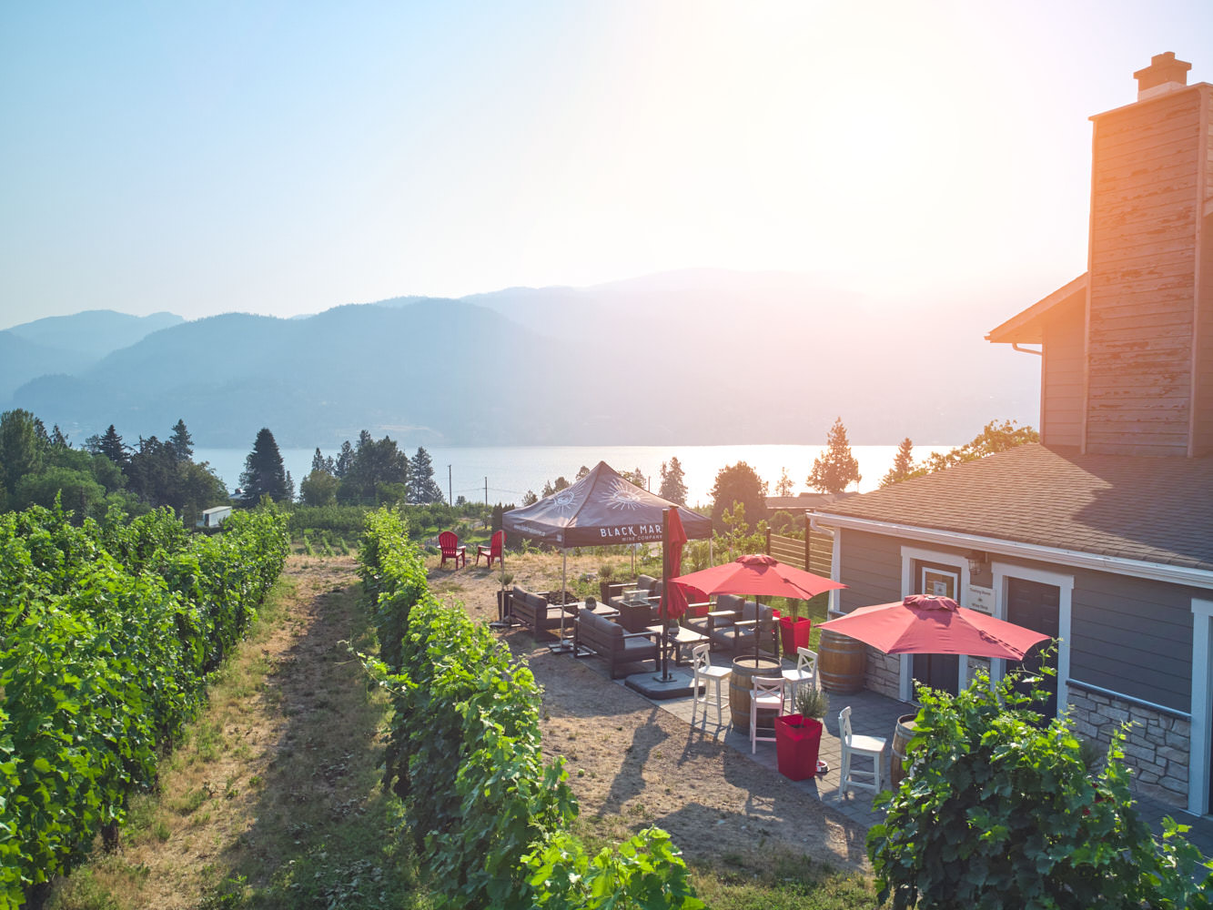 Black Market Wine Co.