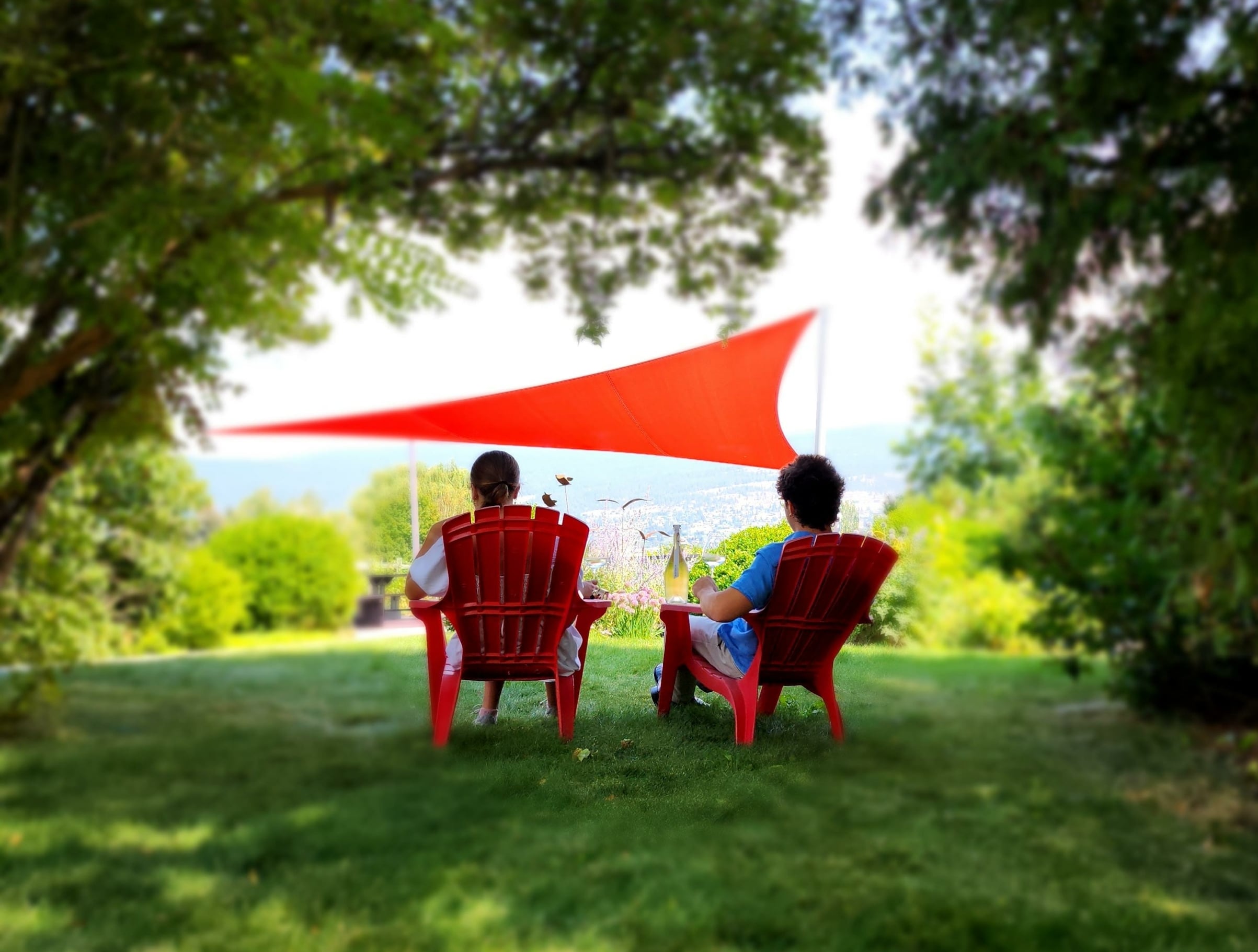 8th Generation Vineyard