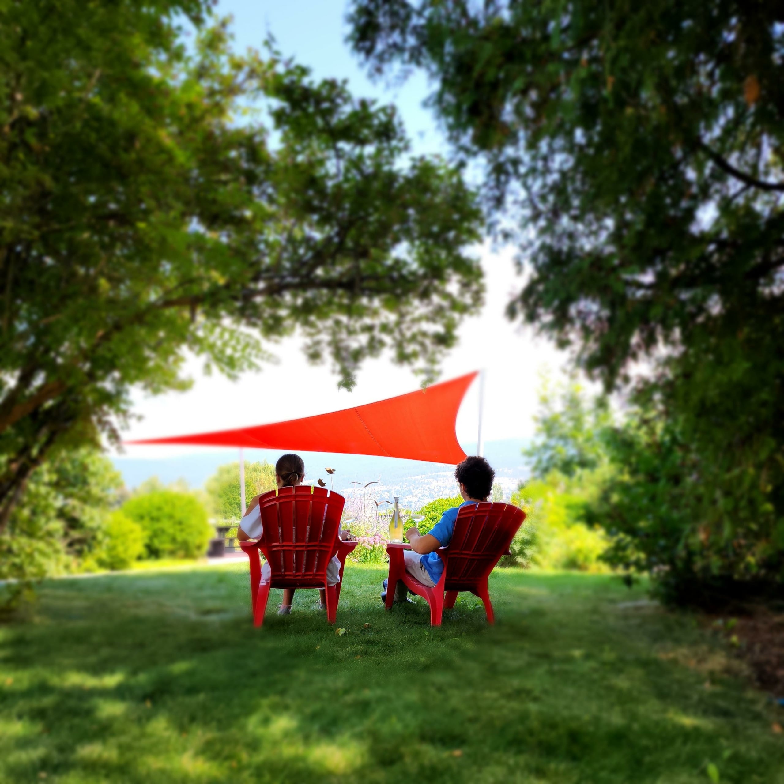 8th Generation Vineyard