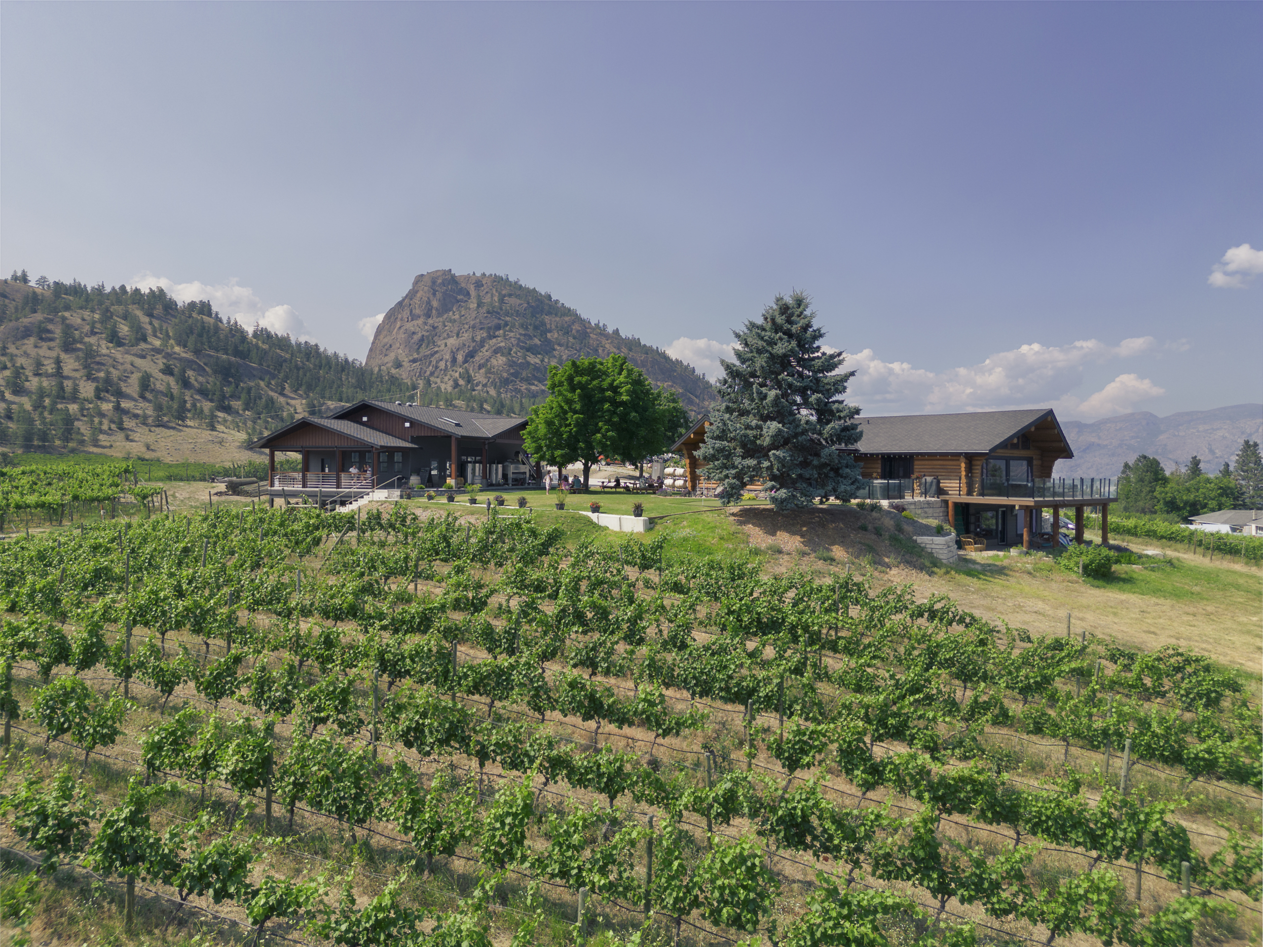 Lightning Rock Winery