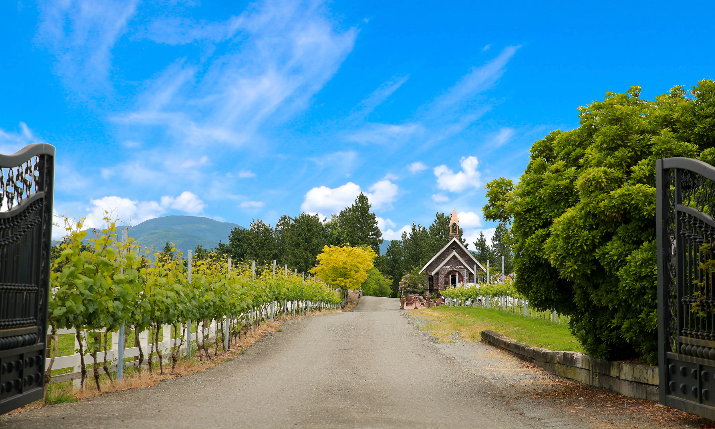 Seaside Pearl Farmgate Winery