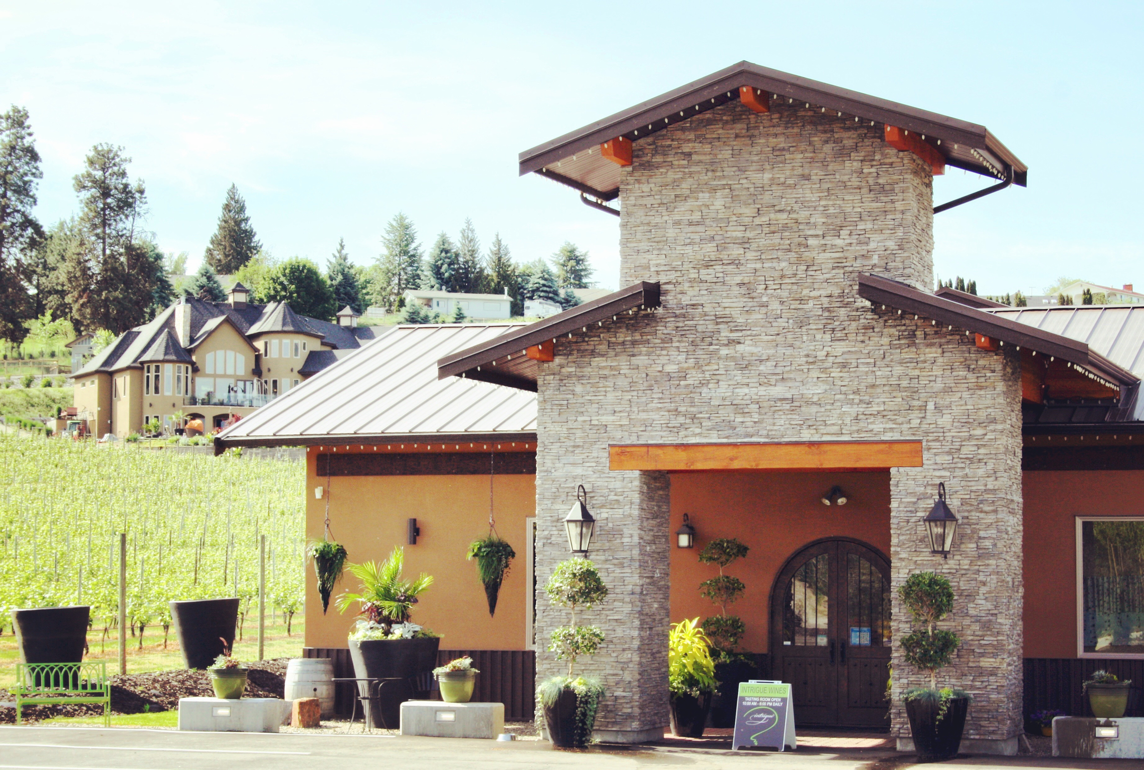 Intrigue Wines