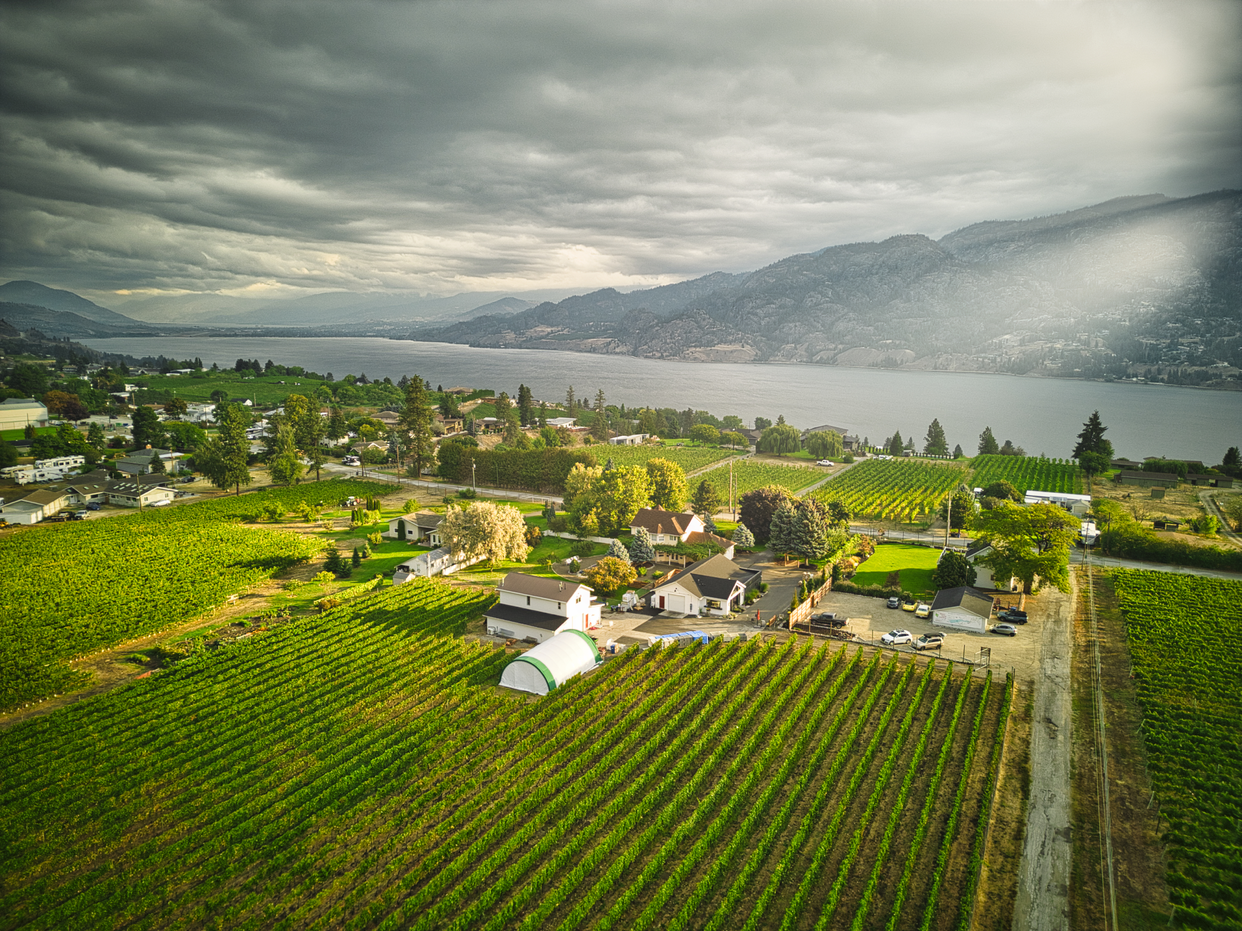 Lakeboat Vineyard & Winery