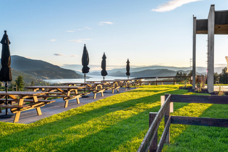 Black Swift Vineyards