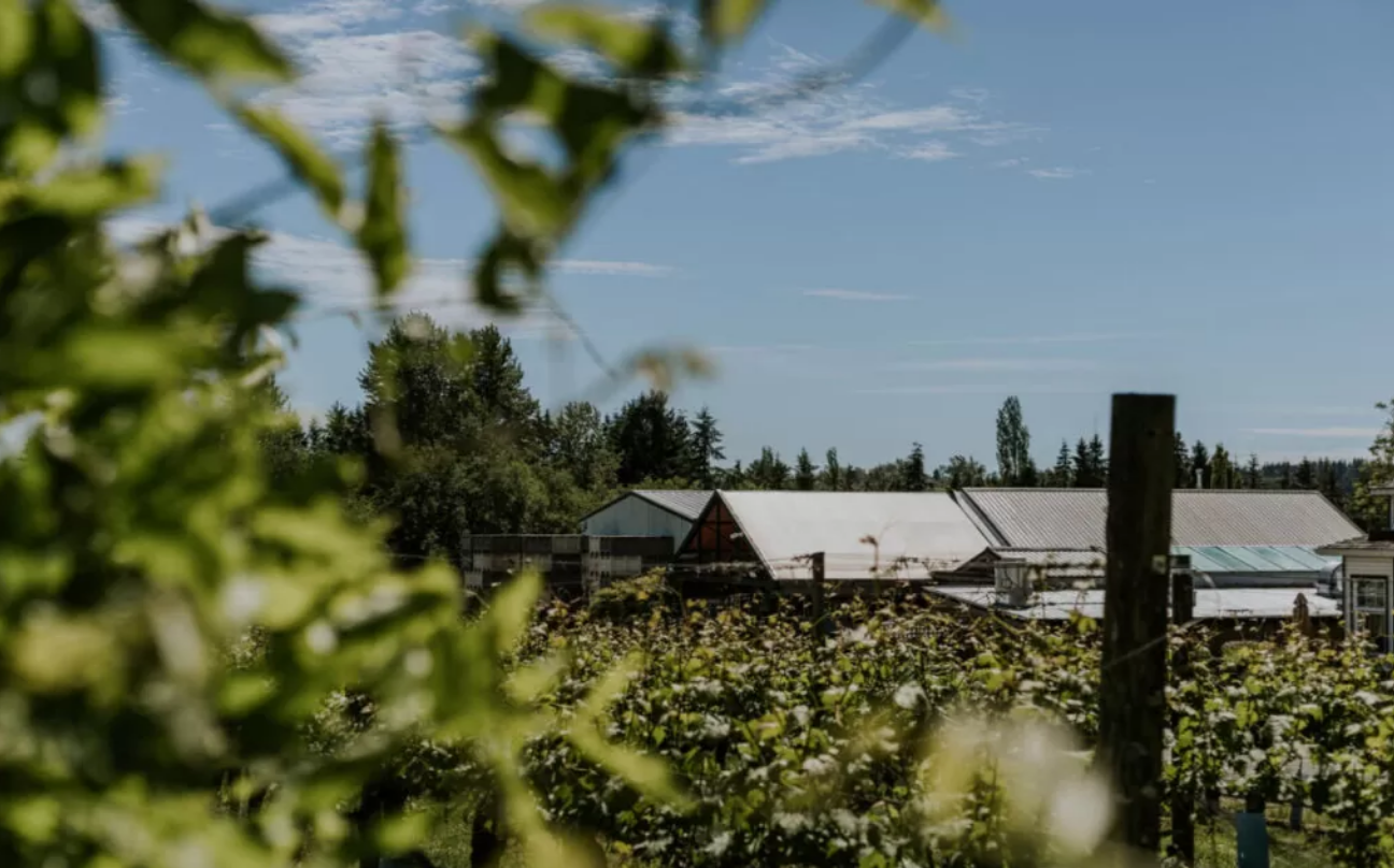 Chaberton Estate Winery