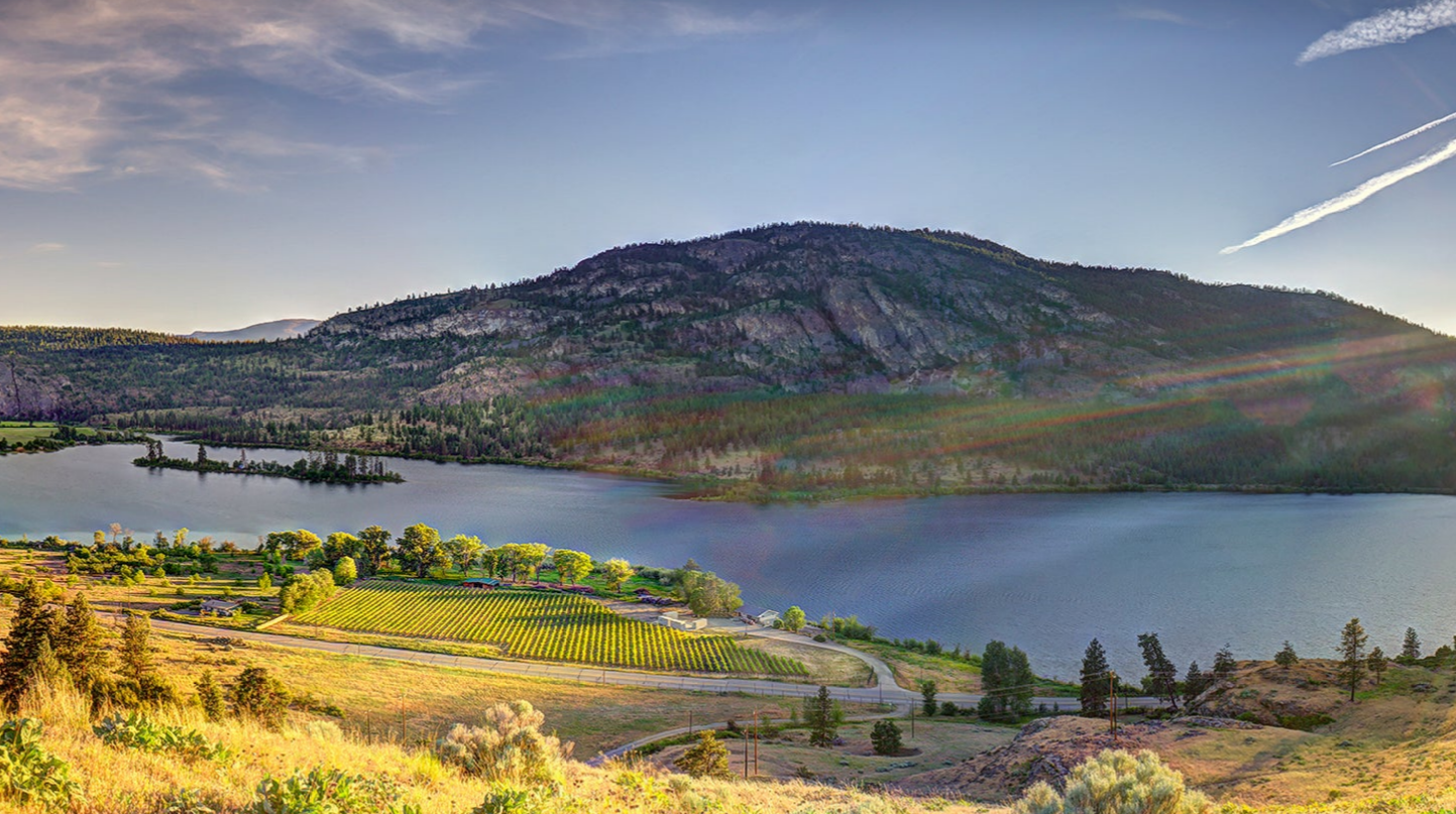 Ramification Cellars