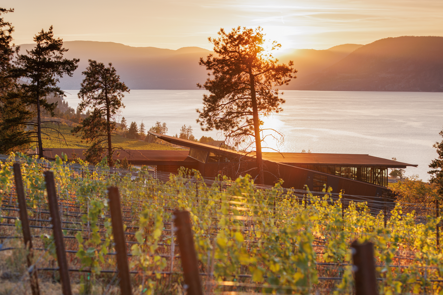 Martin’s Lane Winery