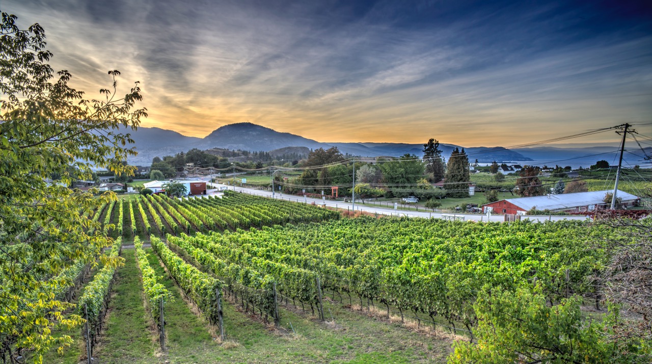 Township 7 Vineyards & Winery (Naramata)