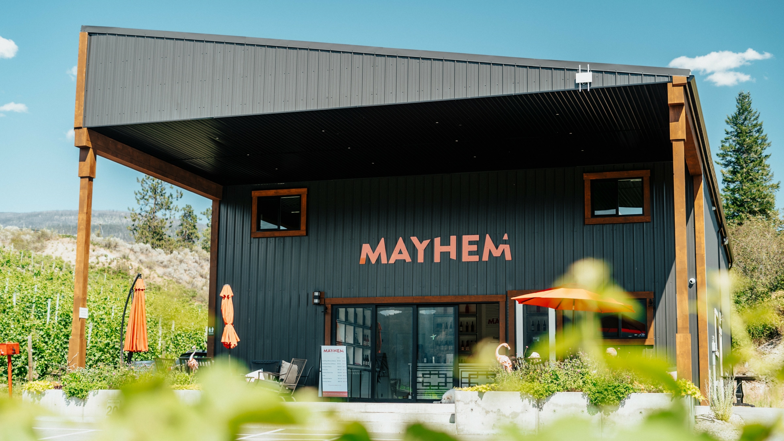 Mayhem Wines