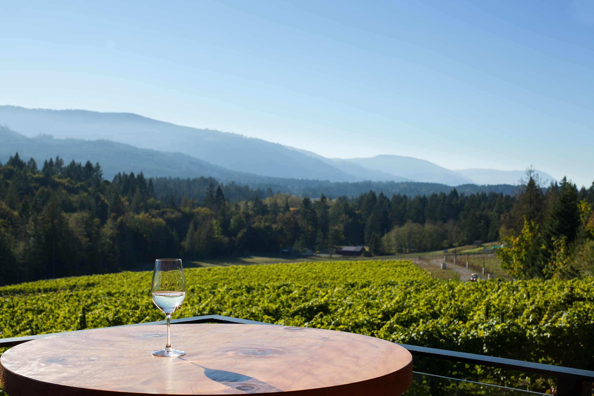 Blue Grouse Estate Winery