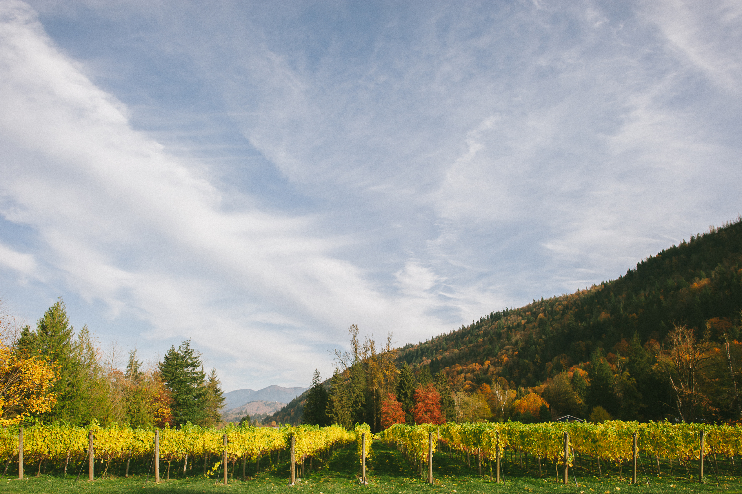 Whispering Horse Winery