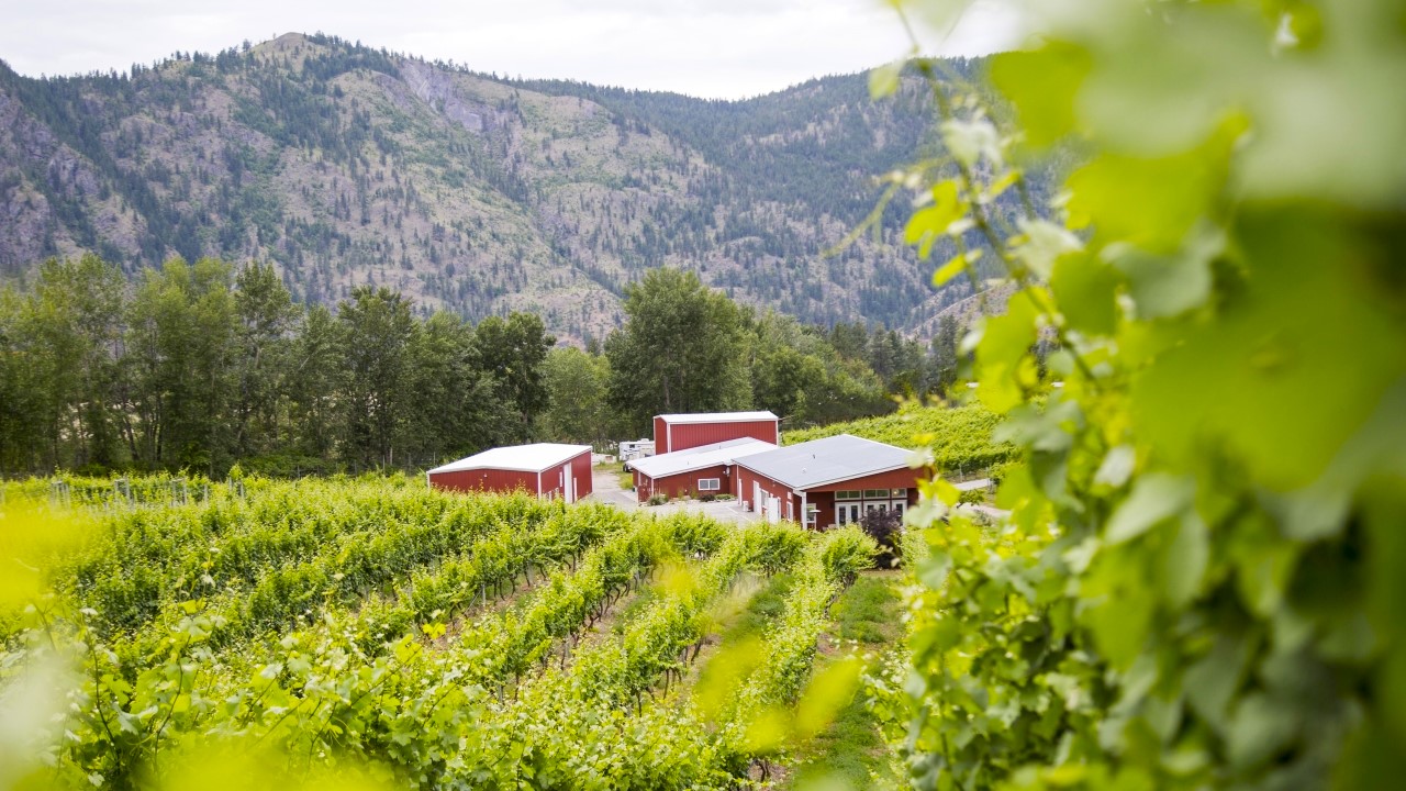 Meyer Family Vineyards Inc.