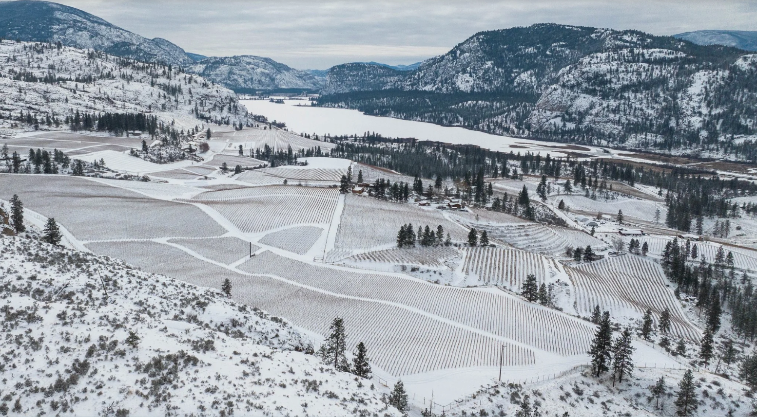 Blue Mountain Vineyard & Cellars