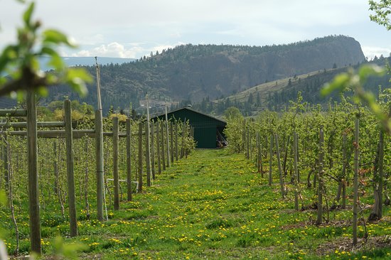 Millionaires’ Row Cider Co.