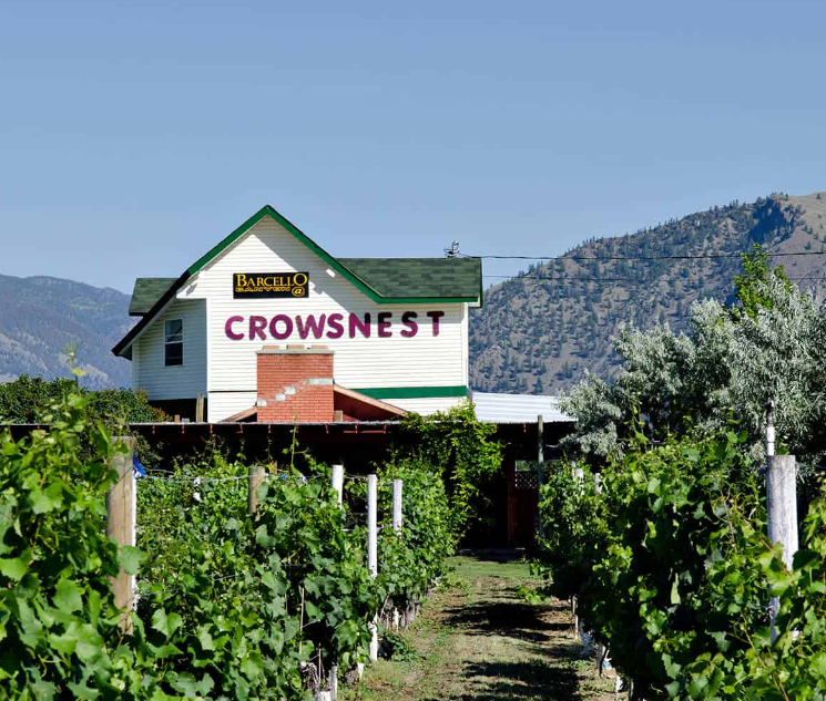 Crowsnest Vineyards
