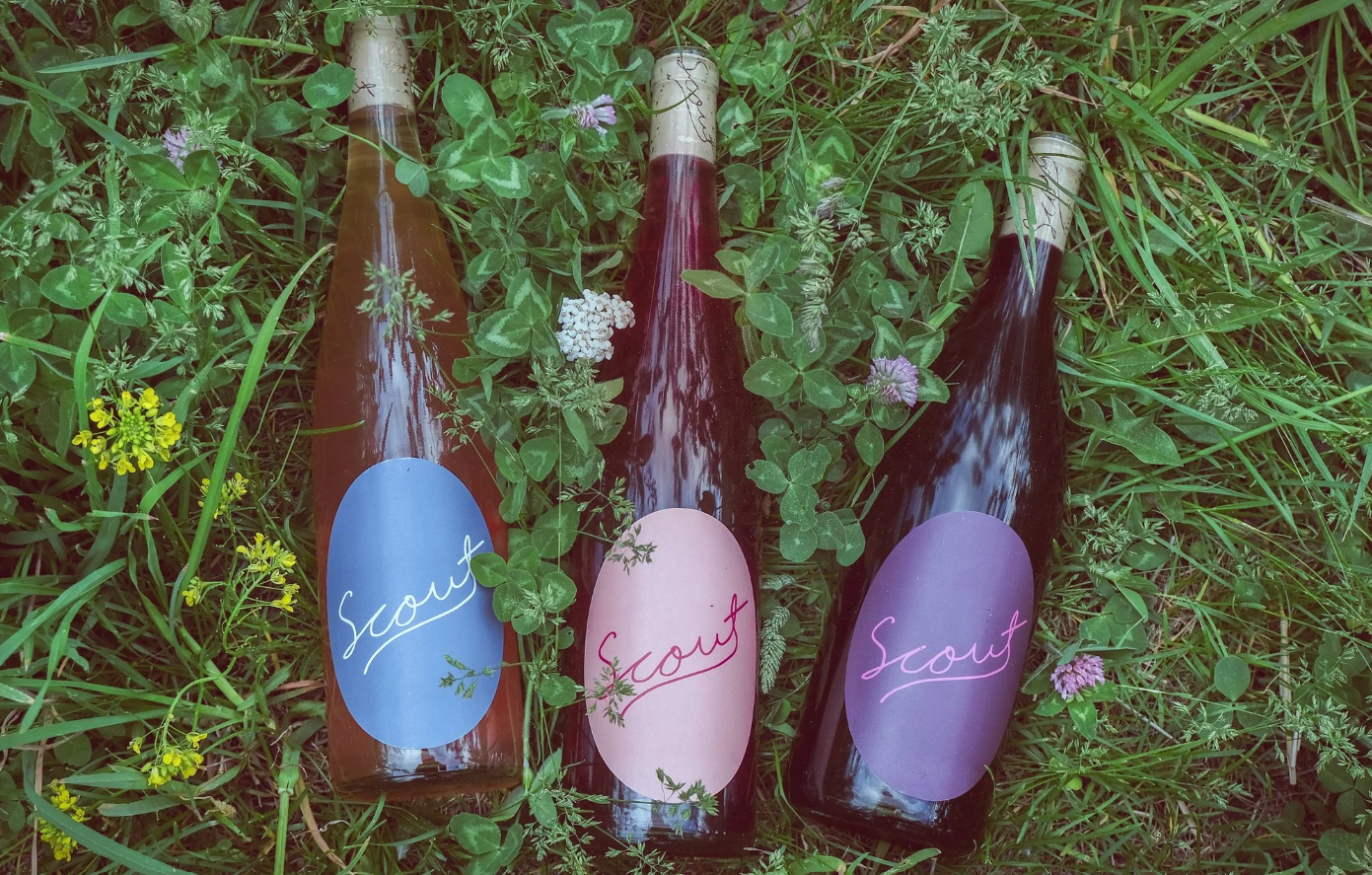 Scout Vineyard