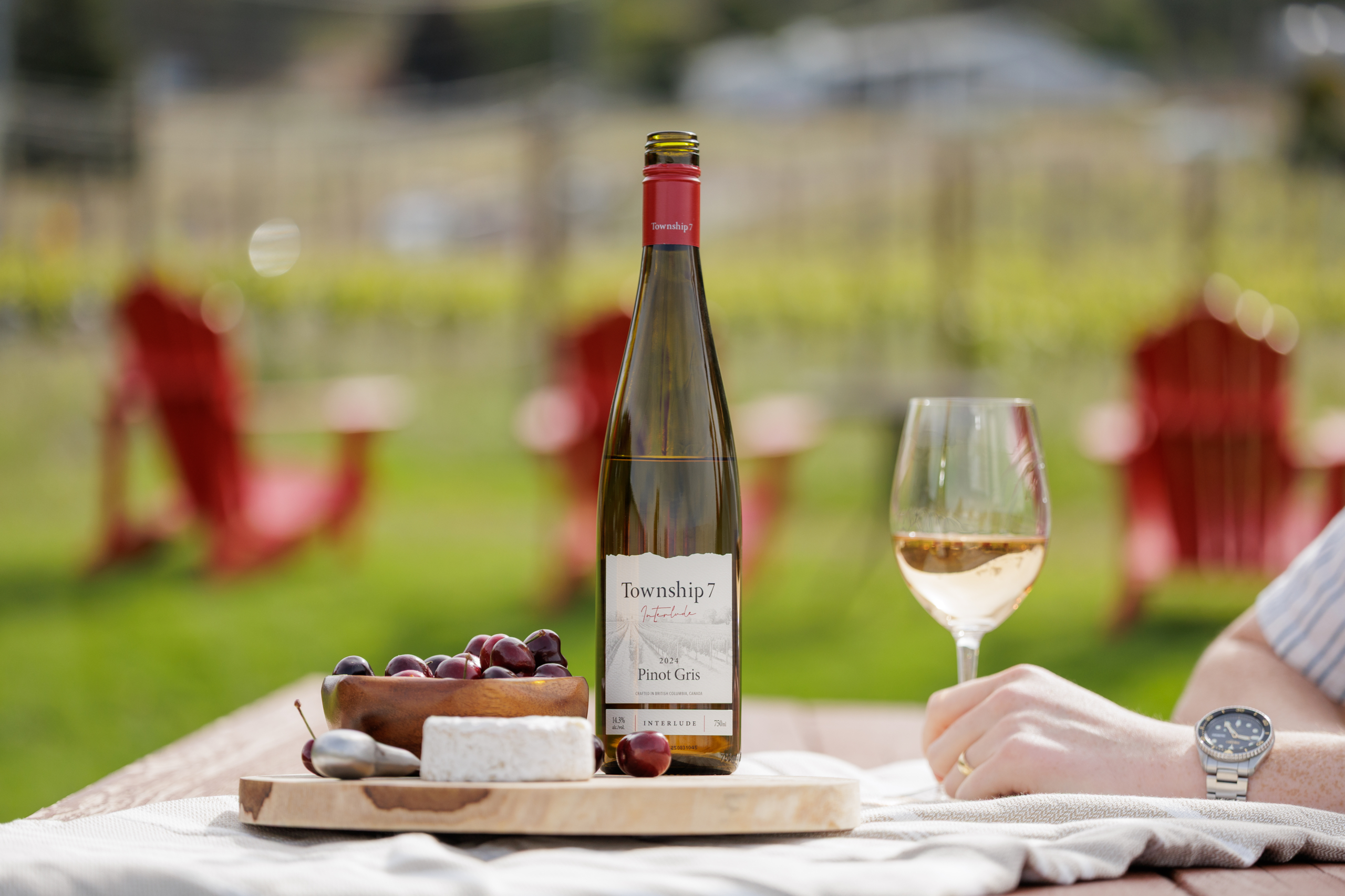 Township 7 Vineyards & Winery (Langley)