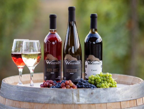 Waterside Vineyard & Winery