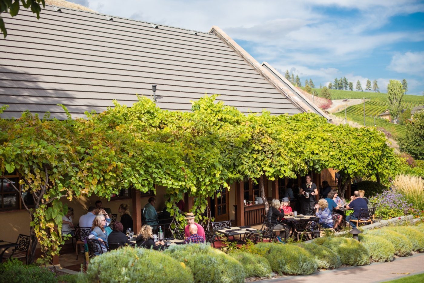 Terrafina Restaurant at Hester Creek