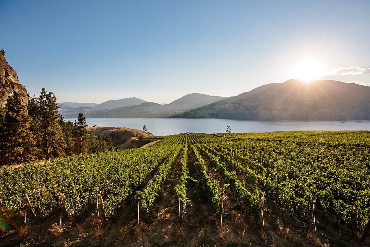 24k Estate Winery - Wines Of British Columbia