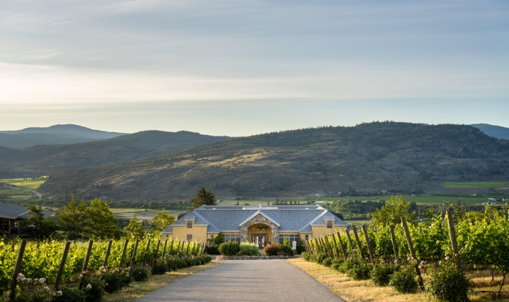 View of Tinhorn Creek Winery through their vineyards in Oliver with the BC mountains in the background.