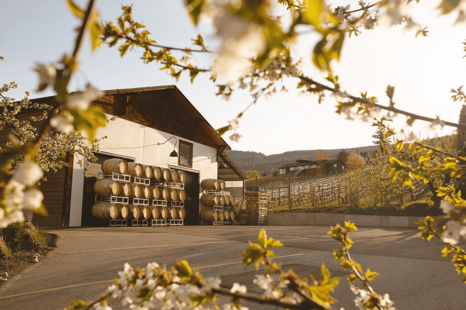 Elephant Island Winery