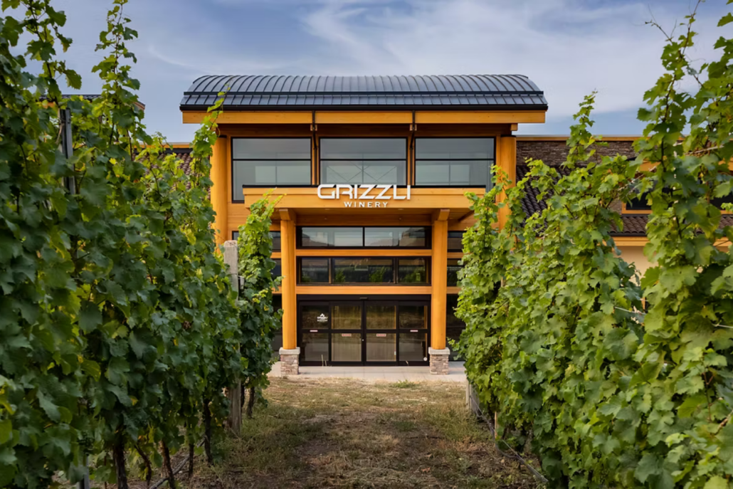 Grizzle Winery through their lush vineyard located in West Kelowna, BC.