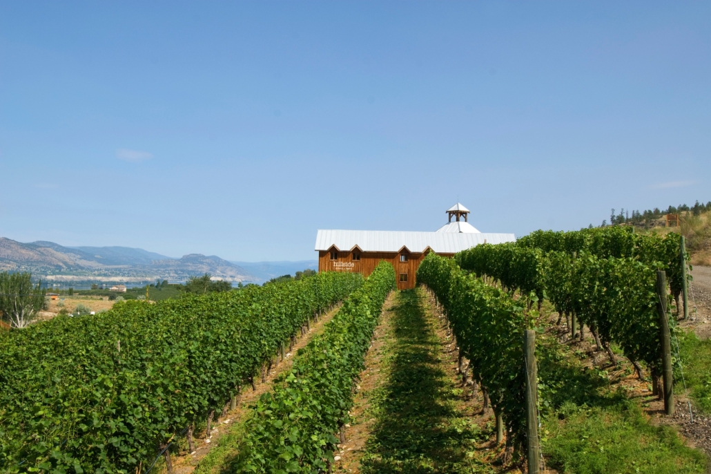 A view of Hillside Winery through their vineyard located in Naramata, BC.