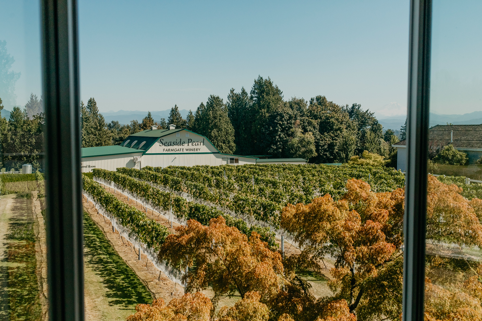 Seaside Pearl Farmgate Winery