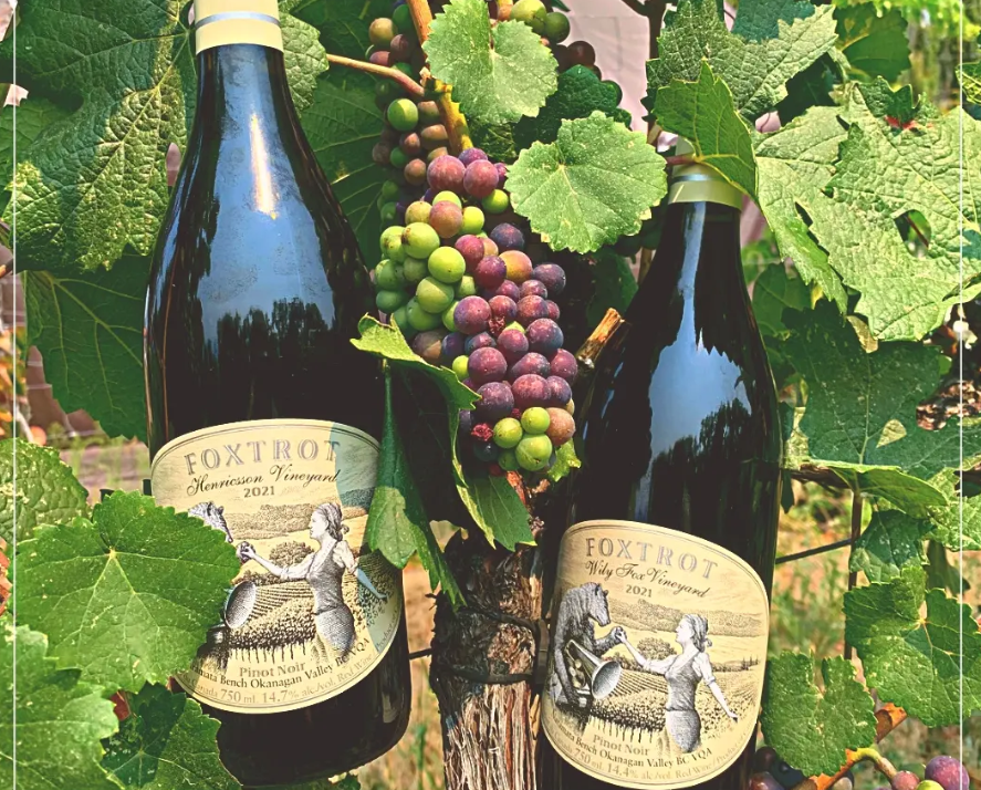 Foxtrot Winery
