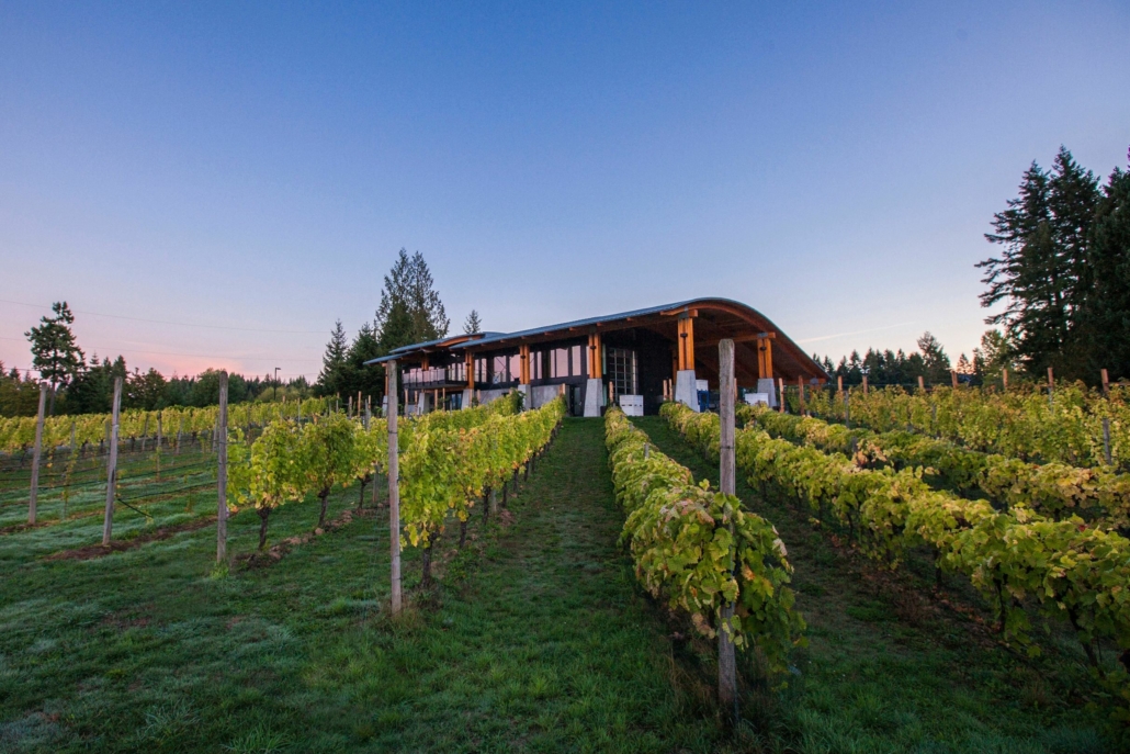 View from the vineyard of Blue Grouse Estate Vineyard & Winery on Vancouver Island, British Columbia.