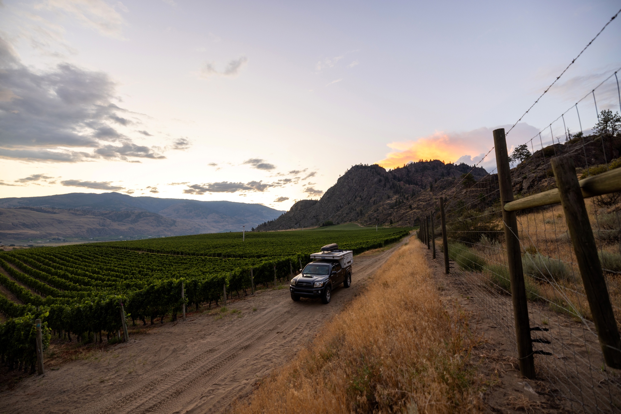 Truck with a camper drives down a dirt road beside a green vineyard with scenic mountains in the background, located in British Columbia.