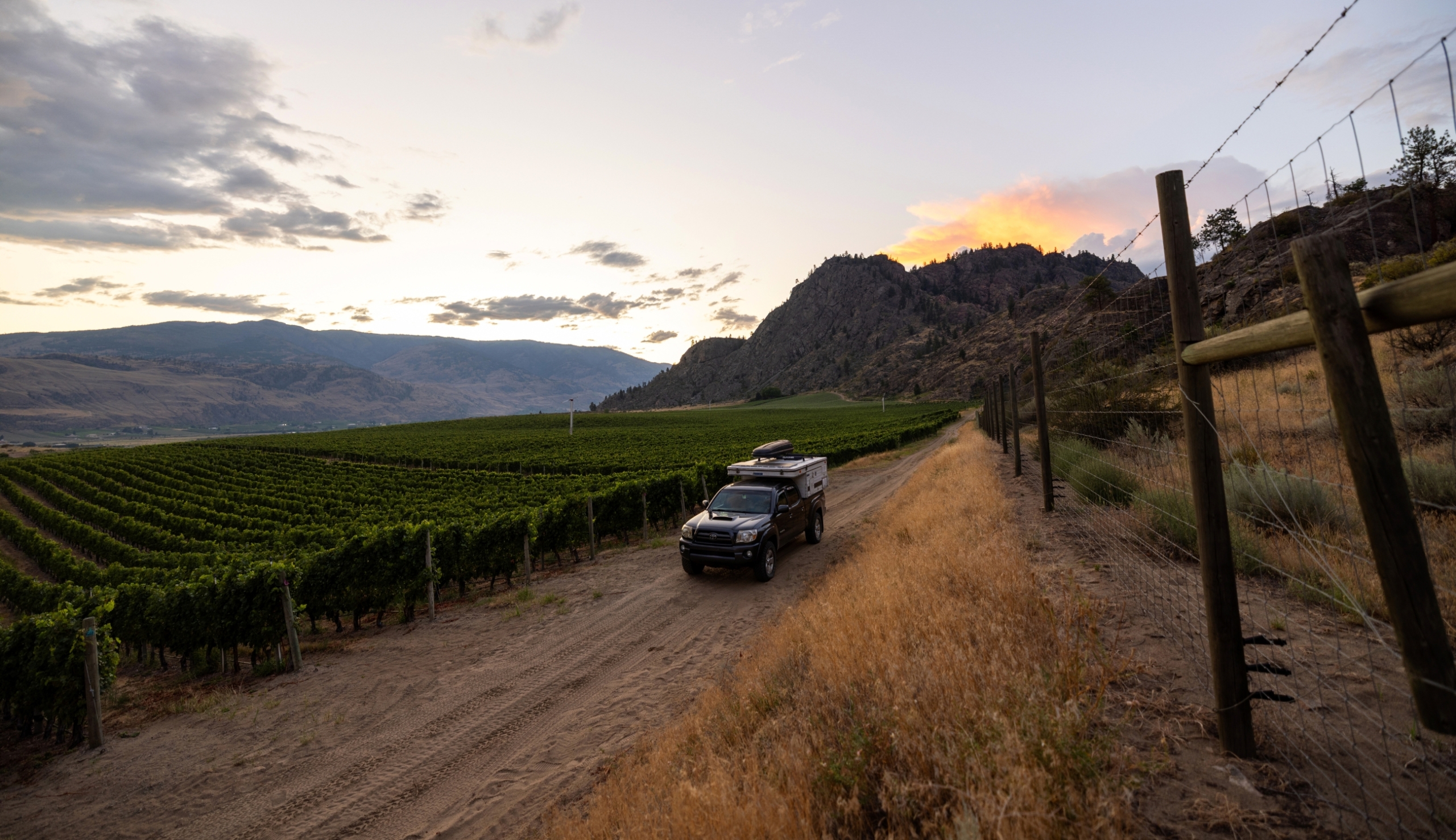 Truck with a camper drives down a dirt road beside a green vineyard with scenic mountains in the background, located in British Columbia.
